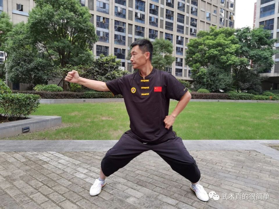 的两仪桩或, 的意念活动, lCq